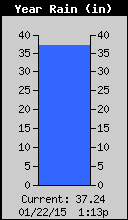 Yearly Rain Image